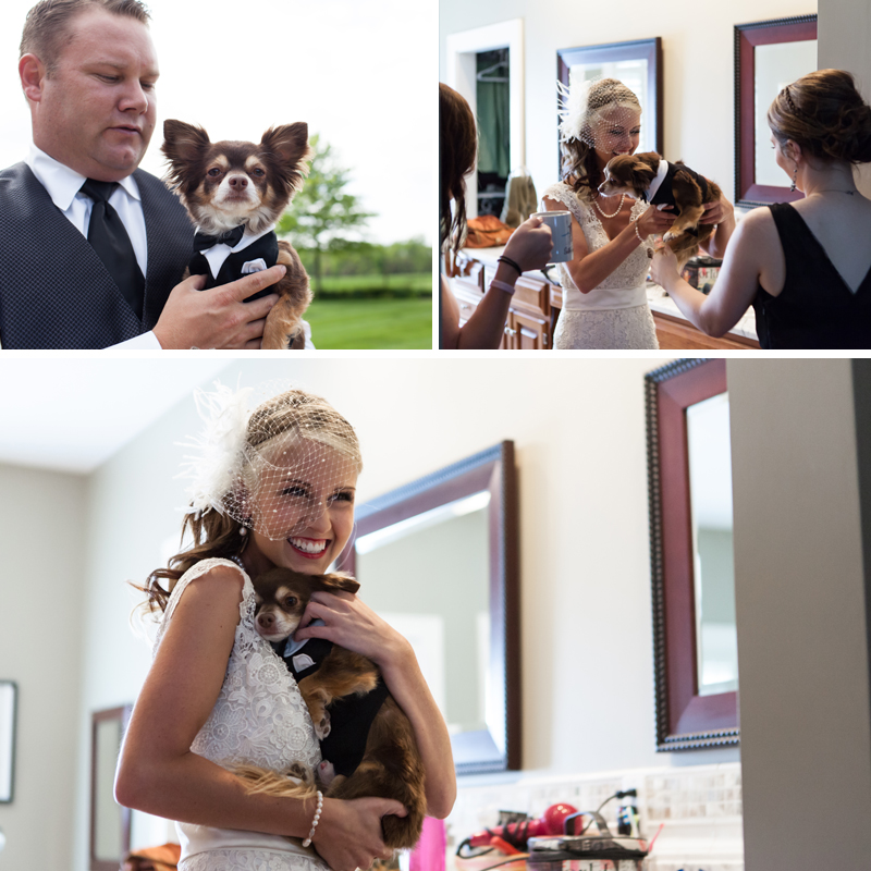 Olathe Kansas rustic outdoor wedding groom bride dog doggie tuxedo picture