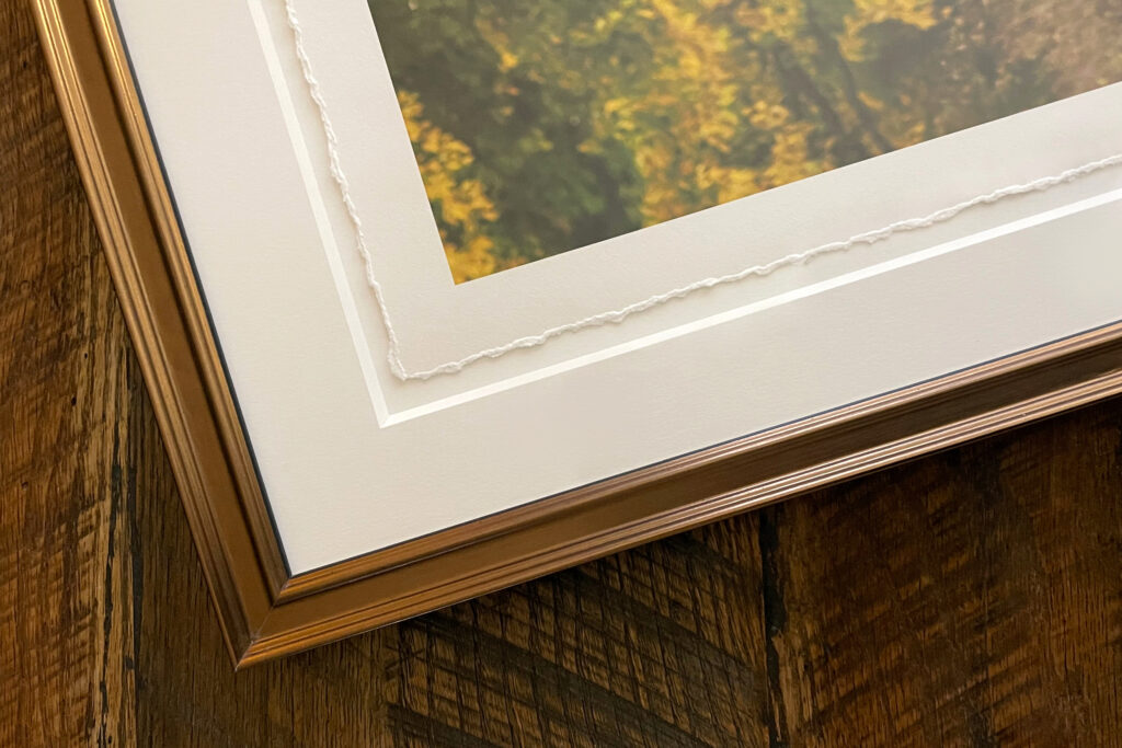 Kansas City family photos framed picture art