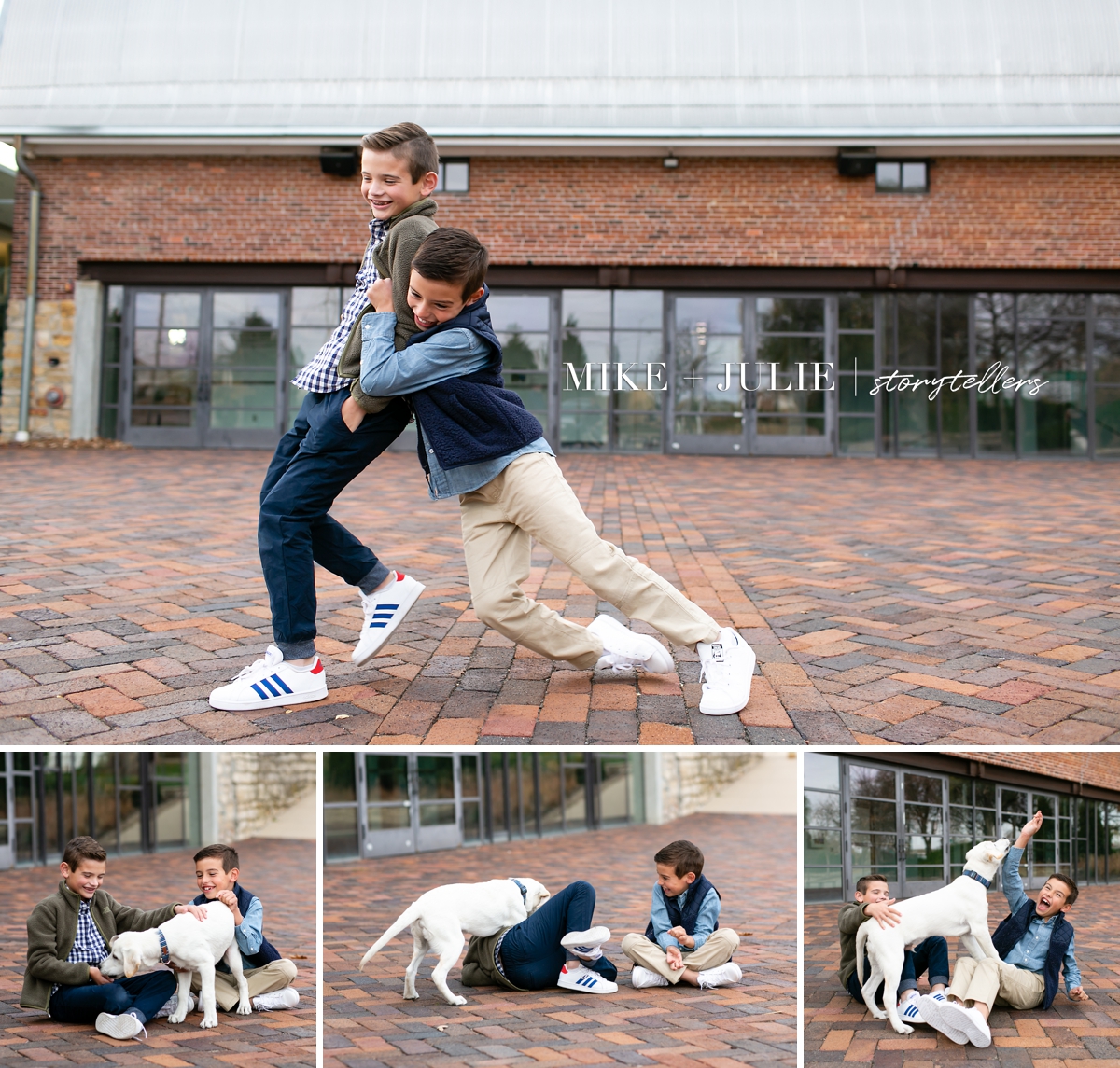 tips for family photos with dogs